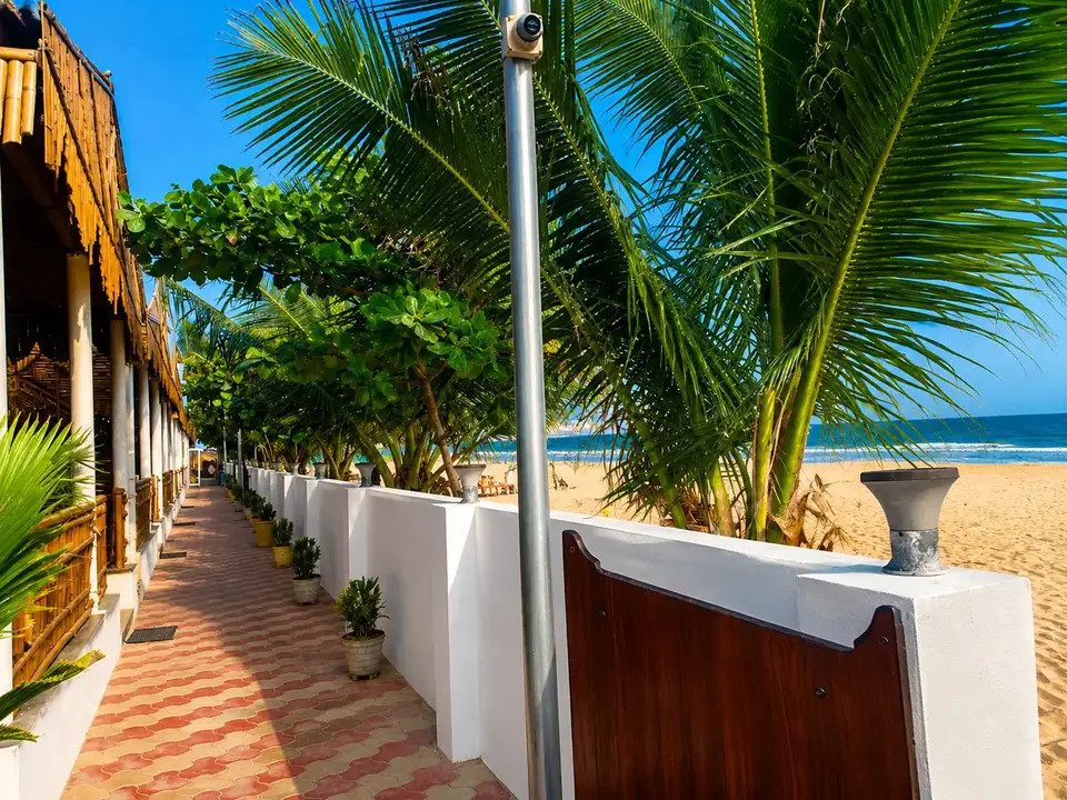 Palm-lined path inside MYRA Golden Beach Resort